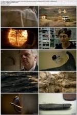 Watch Ancient  X-Files Soap2day